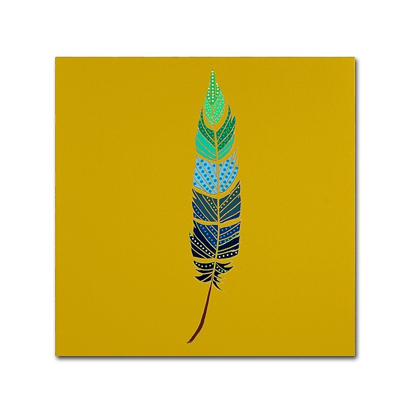 Trademark Fine Art Sylvie Demers 'Plume 2' 18 x 18 (ALI0914-C1818GG) image 1