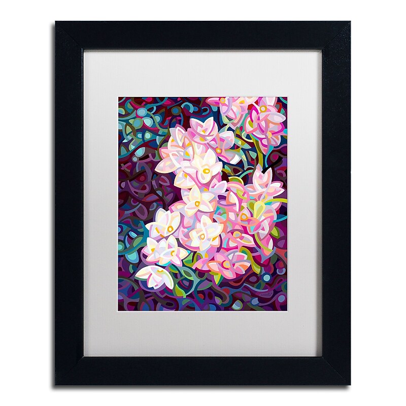 Trademark Fine Art Mandy Budan 'Cascade' 11 x 14 (ALI0917-B1114MF) image 1