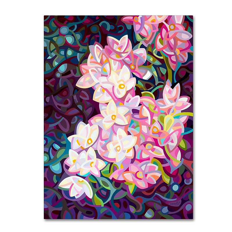 Trademark Fine Art Mandy Budan 'Cascade' 35 x 47 (ALI0917-C3547GG) image 1