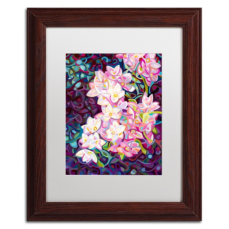 Trademark Fine Art Mandy Budan 'Cascade' 11 x 14 Framed Art Print (ALI0917-W1114MF) image 1