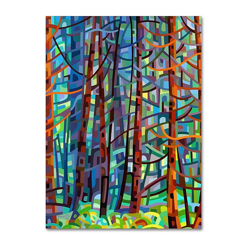 Trademark Fine Art Mandy Budan 'In A Pine Forest' 24 x 32 (ALI0923-C2432GG) image 1