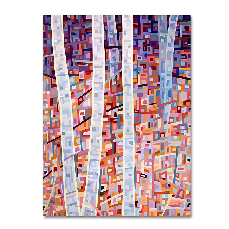 Trademark Fine Art Mandy Budan 'Incandescence' 24 x 32 (ALI0924-C2432GG) image 1