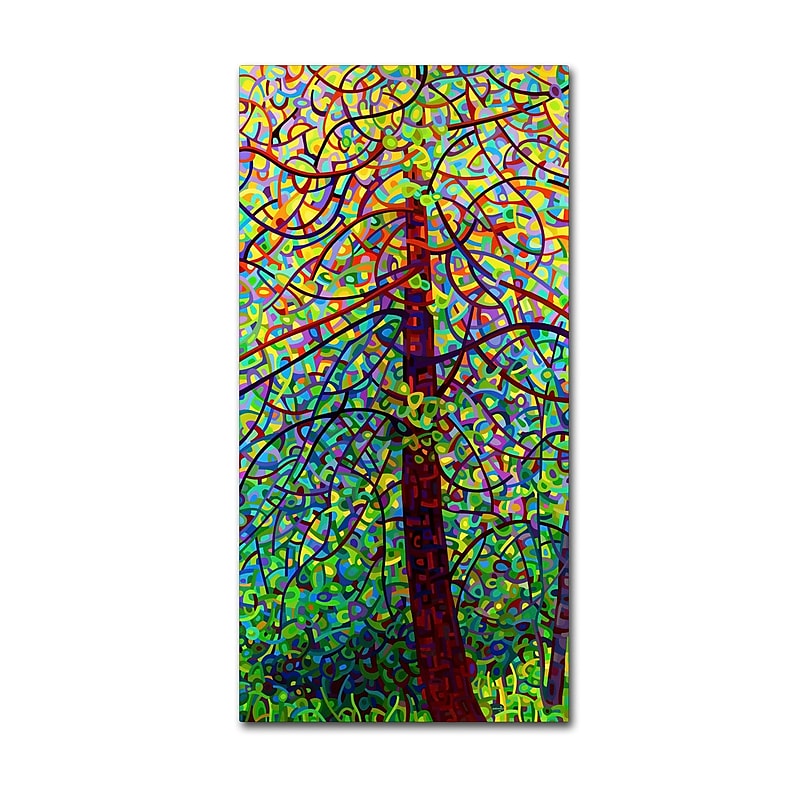 Trademark Fine Art Mandy Budan 'Kaleidoscope' 16 x 32 (ALI0925-C1632GG) image 1