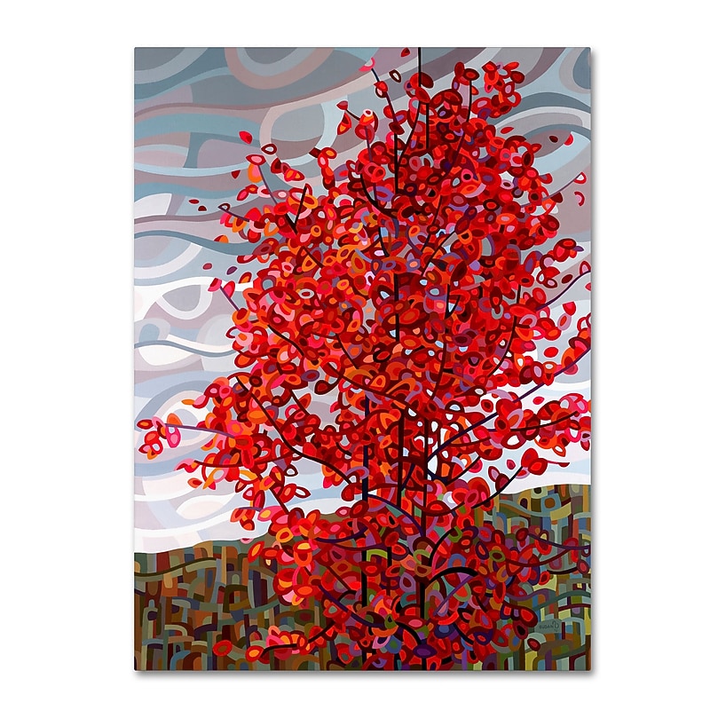 Trademark Fine Art Mandy Budan 'Passing Storm' 35 x 47 (ALI0928-C3547GG) image 1