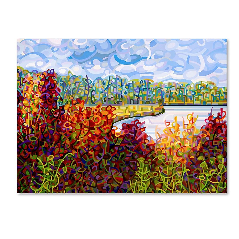 Trademark Fine Art Mandy Budan 'Summers End' 24 x 32 (ALI0935-C2432GG) image 1