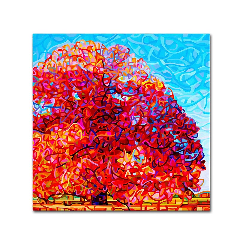 Trademark Fine Art Mandy Budan 'Buddha Tree' 18 x 18 (ALI0943-C1818GG) image 1