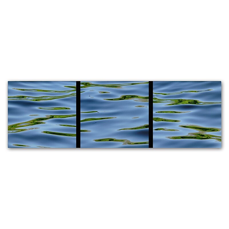 Trademark Fine Art Gregory O'Hanlon 'Water-Triptych' 16 x 47 (GO0044-C1647GG) image 1