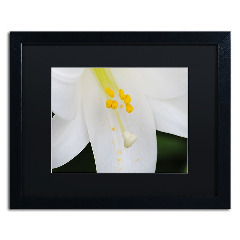 Trademark Fine Art Monica Mize 'Adore You' 16 x 20 (MF131-B1620BMF) image 1