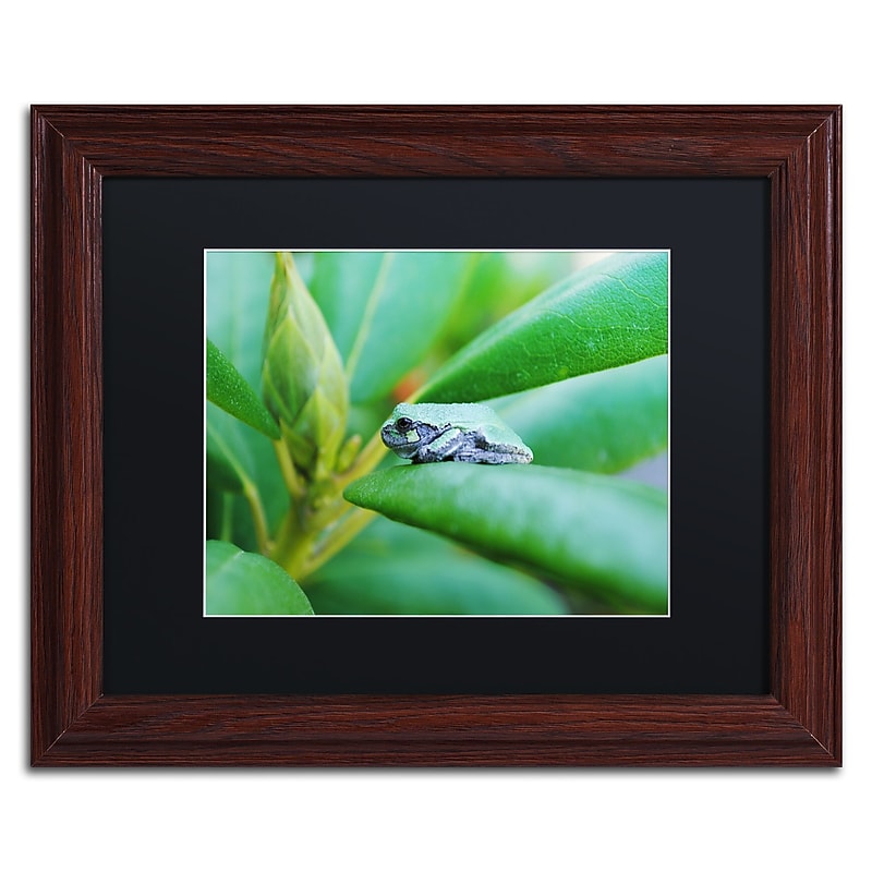 Trademark Fine Art Monica Mize 'Balance' 11 x 14 (MF132-W1114BMF) image 1