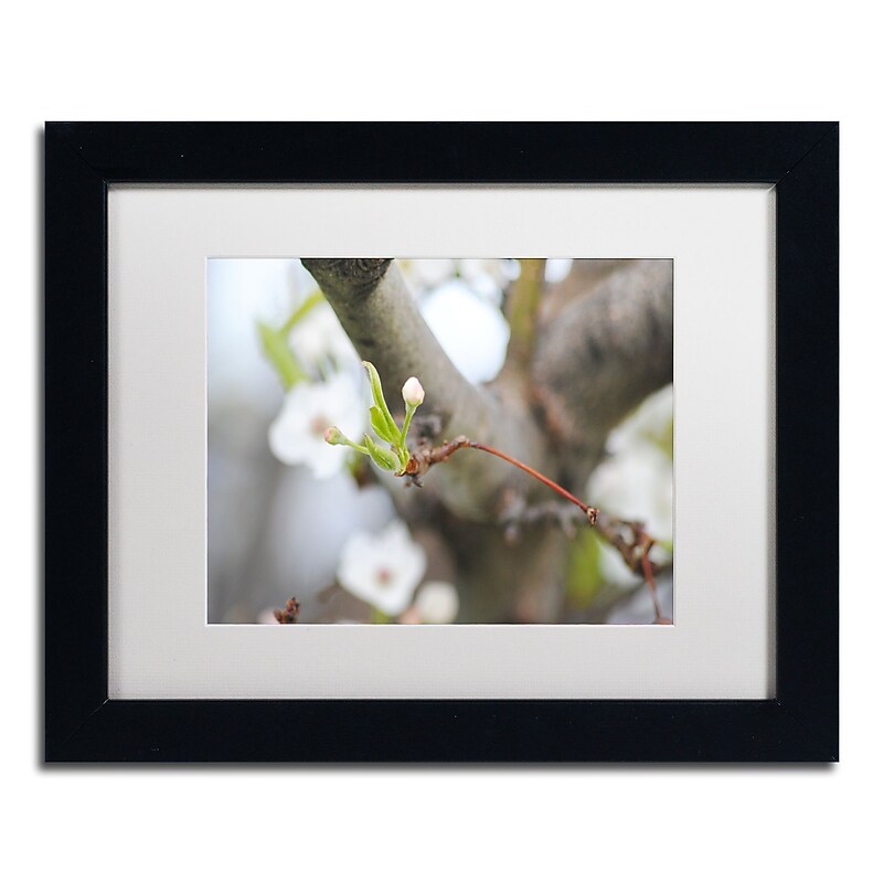 Trademark Fine Art Monica Mize 'Before Bloom' 11 x 14 (MF133-B1114MF) image 1
