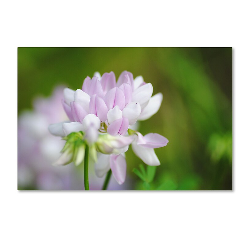 Trademark Fine Art Monica Mize 'Calm Heart' 30 x 47 (MF135-C3047GG) image 1