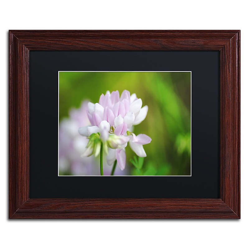 Trademark Fine Art Monica Mize 'Calm Heart' 11 x 14 (MF135-W1114BMF) image 1