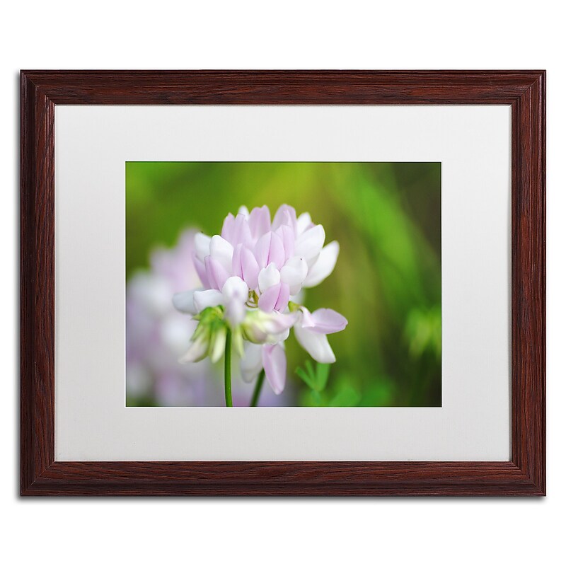 Trademark Fine Art Monica Mize 'Calm Heart' 16 x 20 (MF135-W1620MF) image 1