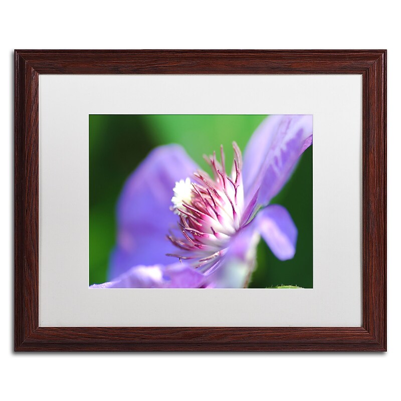 Trademark Fine Art Monica Mize 'Clarity' 16 x 20 (MF136-W1620MF) image 1