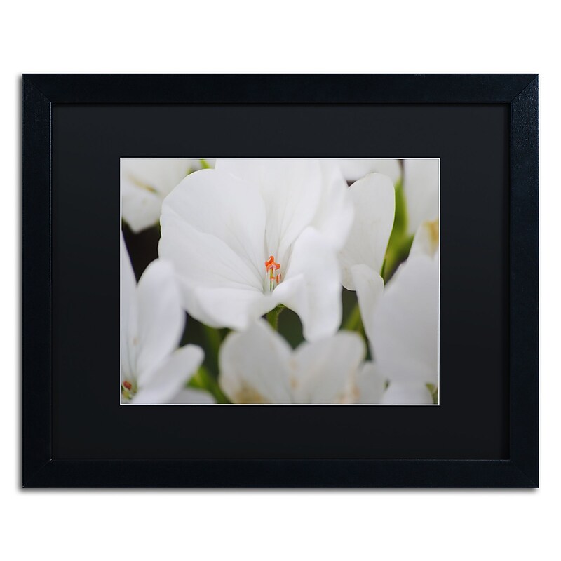 Trademark Fine Art Monica Mize 'Clustered Jewel' 16 x 20 (MF137-B1620BMF) image 1