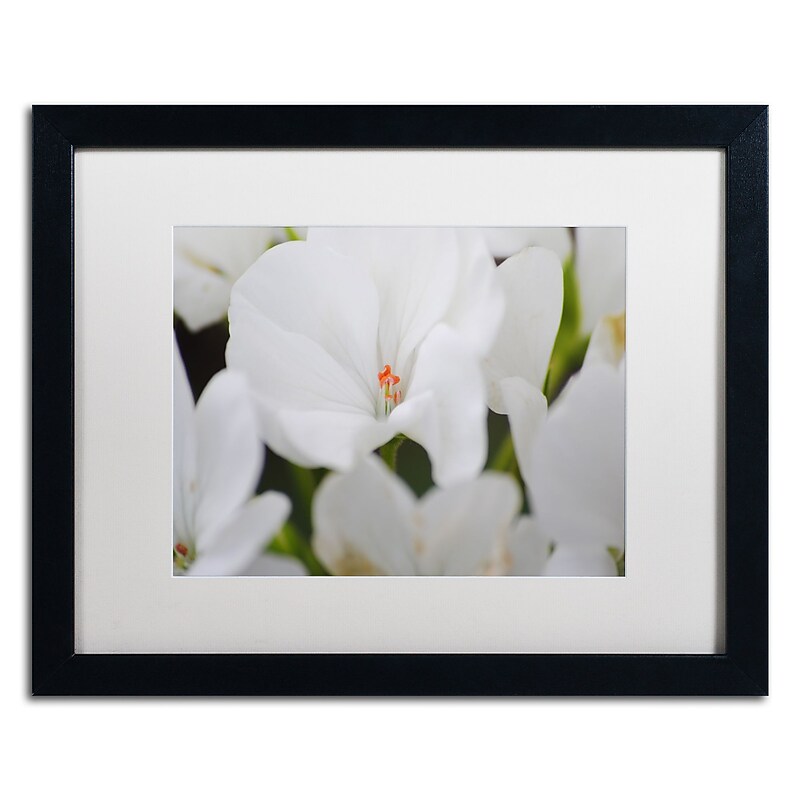 Trademark Fine Art Monica Mize 'Clustered Jewel' 16 x 20 (MF137-B1620MF) image 1