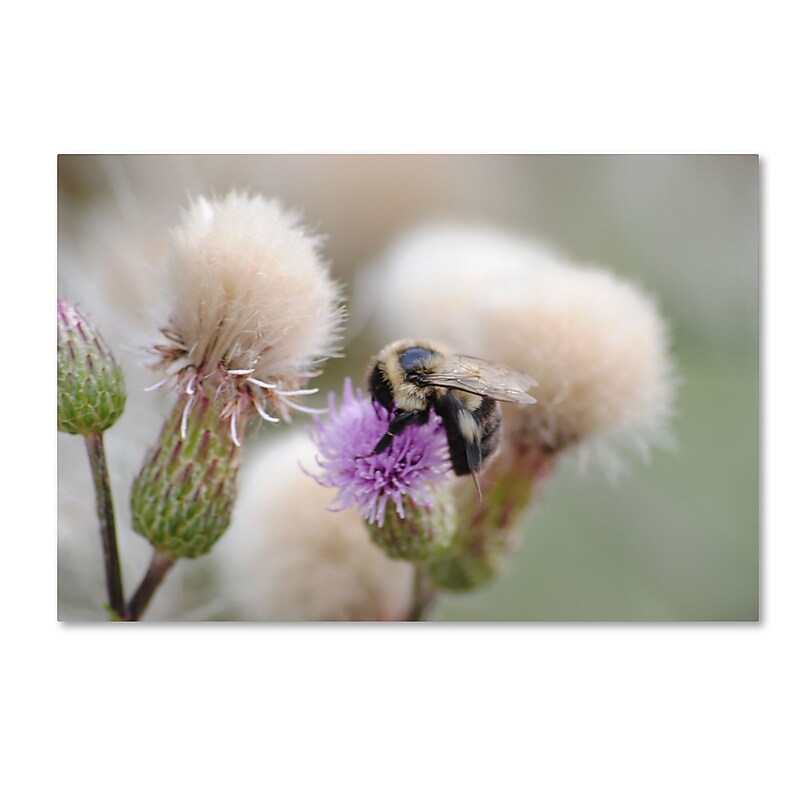 Trademark Fine Art Monica Mize 'Defeated' 30 x 47 (MF138-C3047GG) image 1