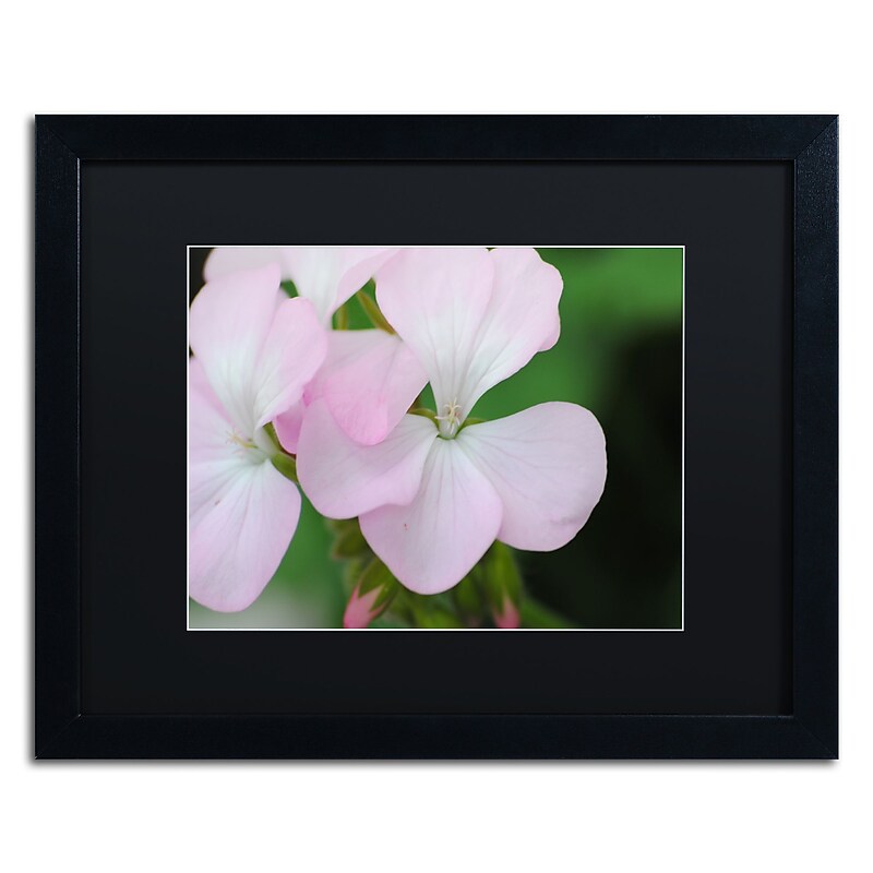 Trademark Fine Art Monica Mize 'Devine Feel' 16 x 20 (MF139-B1620BMF) image 1