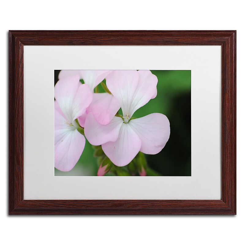Trademark Fine Art Monica Mize 'Devine Feel' 16 x 20 (MF139-W1620MF) image 1