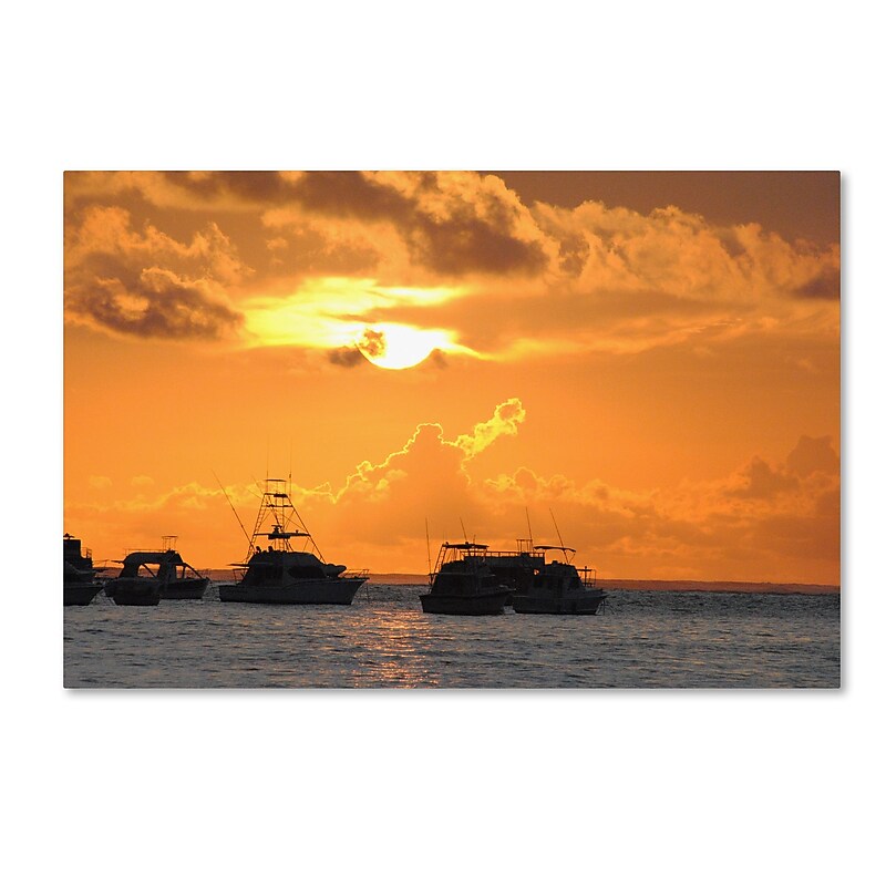 Trademark Fine Art Monica Mize 'Dreamily Explisit' 30 x 47 (MF140-C3047GG) image 1