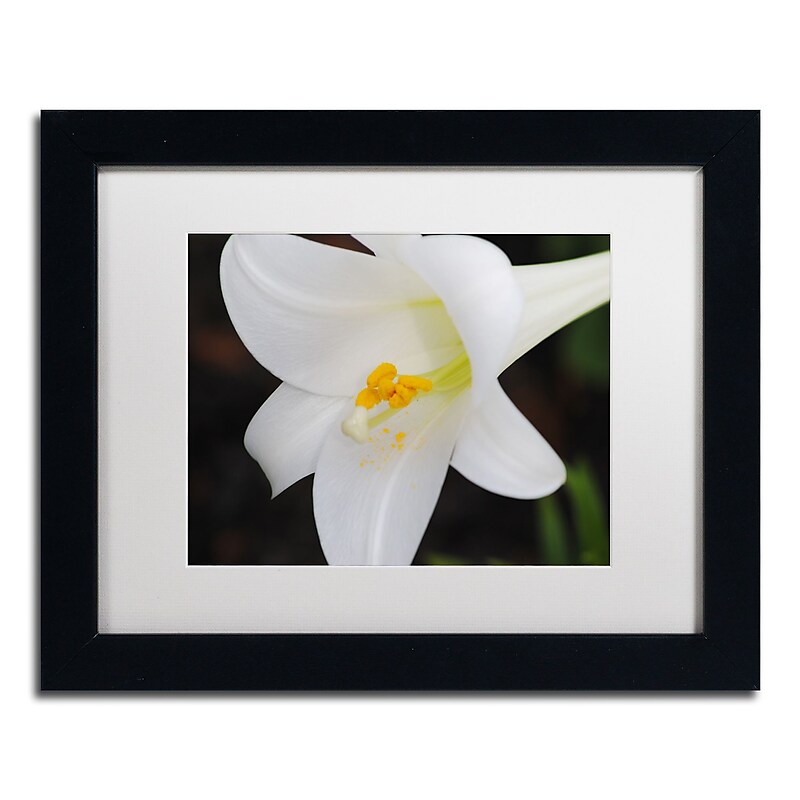 Trademark Fine Art Monica Mize 'Easter' 11 x 14 (MF141-B1114MF) image 1