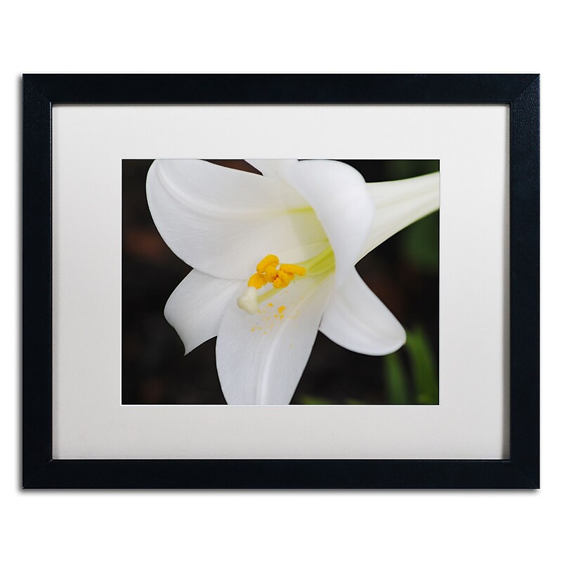 Trademark Fine Art Monica Mize 'Easter' 16 x 20 (MF141-B1620MF) image 1