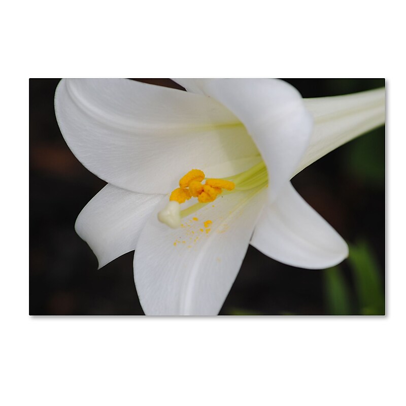 Trademark Fine Art Monica Mize 'Easter' 30 x 47 (MF141-C3047GG) image 1