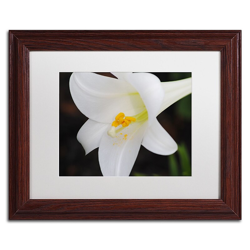 Trademark Fine Art Monica Mize 'Easter' 11 x 14 (MF141-W1114MF) image 1