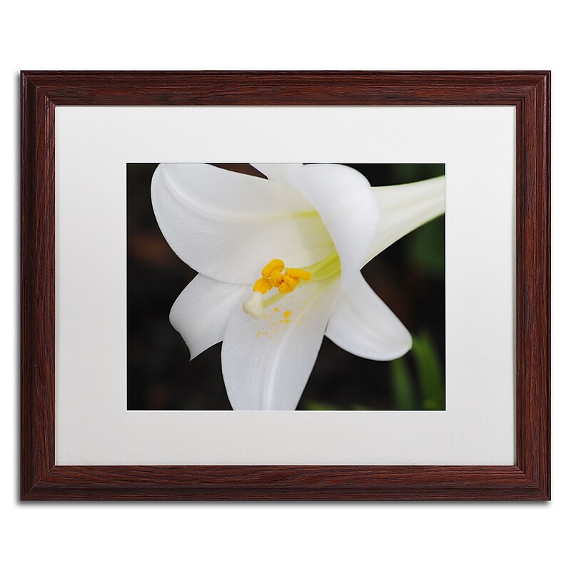 Trademark Fine Art Monica Mize 'Easter' 16 x 20 (MF141-W1620MF) image 1