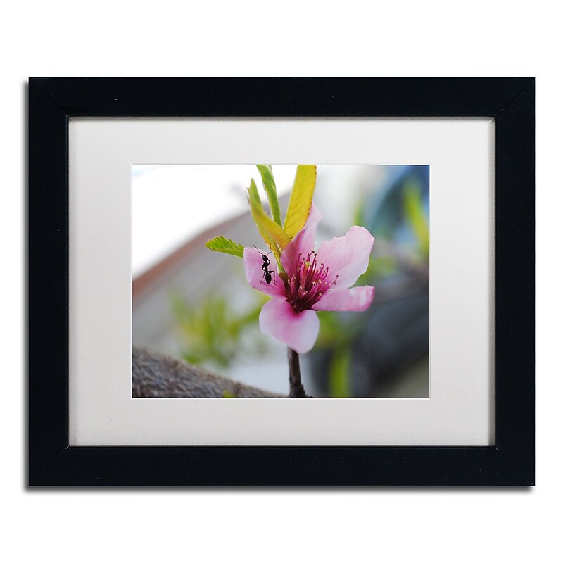 Trademark Fine Art Monica Mize 'Expressive Individuality' 11 x 14 (MF143-B1114MF) image 1