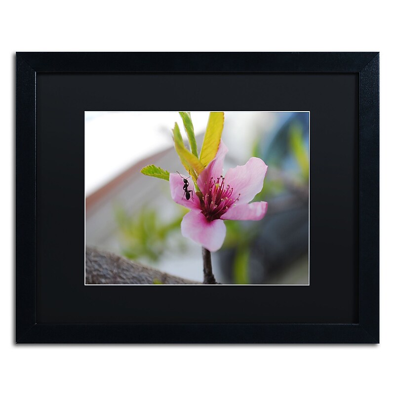 Trademark Fine Art Monica Mize 'Expressive Individuality' 16 x 20 (MF143-B1620BMF) image 1