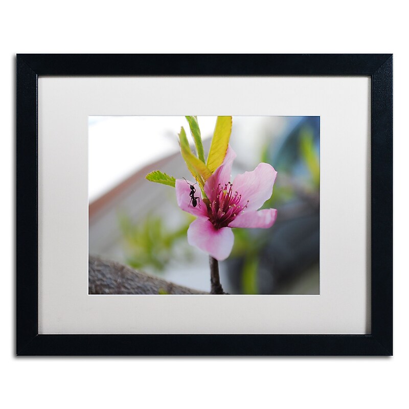 Trademark Fine Art Monica Mize 'Expressive Individuality' 16 x 20 (MF143-B1620MF) image 1