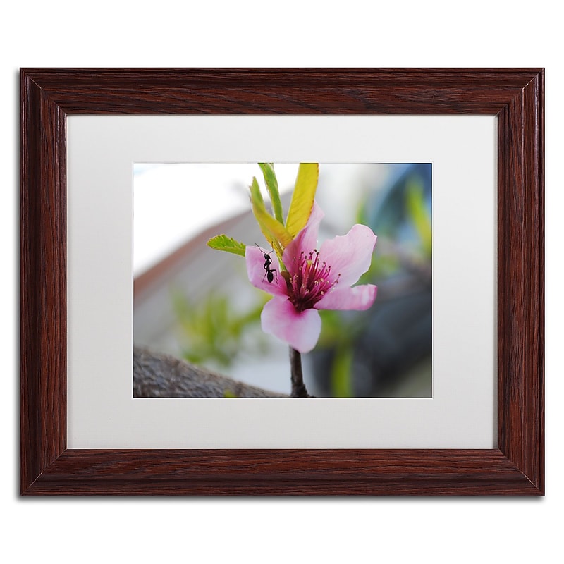 Trademark Fine Art Monica Mize 'Expressive Individuality' 11 x 14 (MF143-W1114MF) image 1