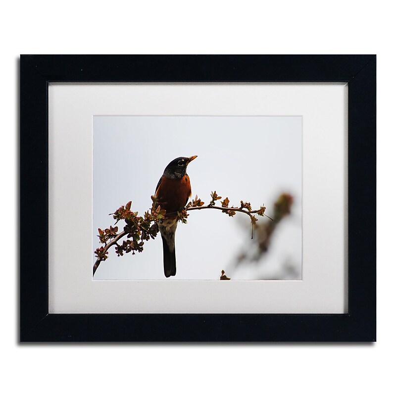 Trademark Fine Art Monica Mize 'Guardian' 11 x 14 (MF147-B1114MF) image 1