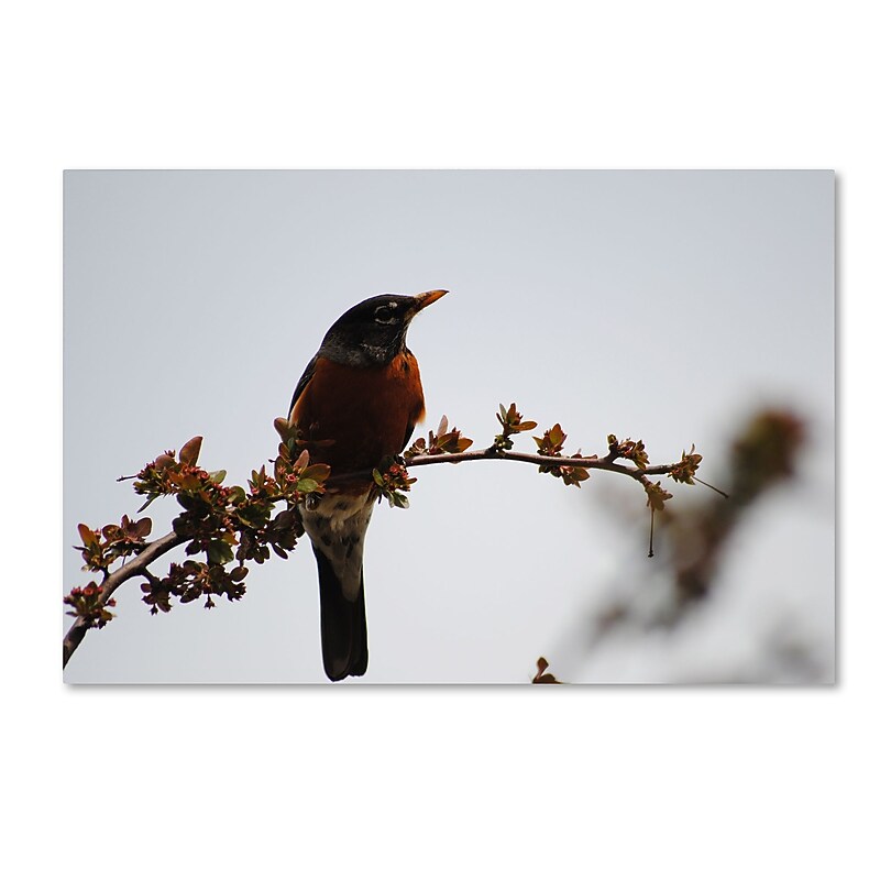 Trademark Fine Art Monica Mize 'Guardian' 30 x 47 (MF147-C3047GG) image 1