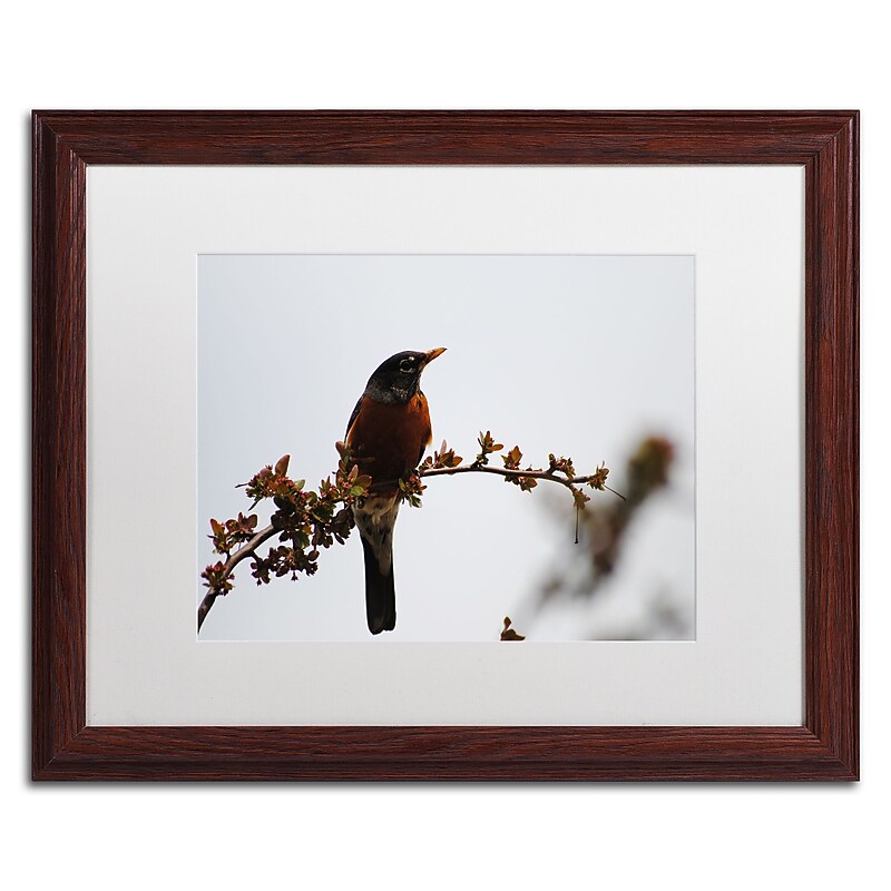 Trademark Fine Art Monica Mize 'Guardian' 16 x 20 (MF147-W1620MF) image 1