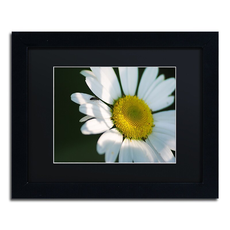 Trademark Fine Art Monica Mize 'Hidden in Shadows' 11 x 14 (MF148-B1114BMF) image 1