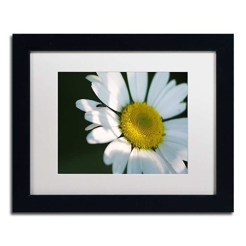 Trademark Fine Art Monica Mize 'Hidden in Shadows' 11 x 14 (MF148-B1114MF) image 1