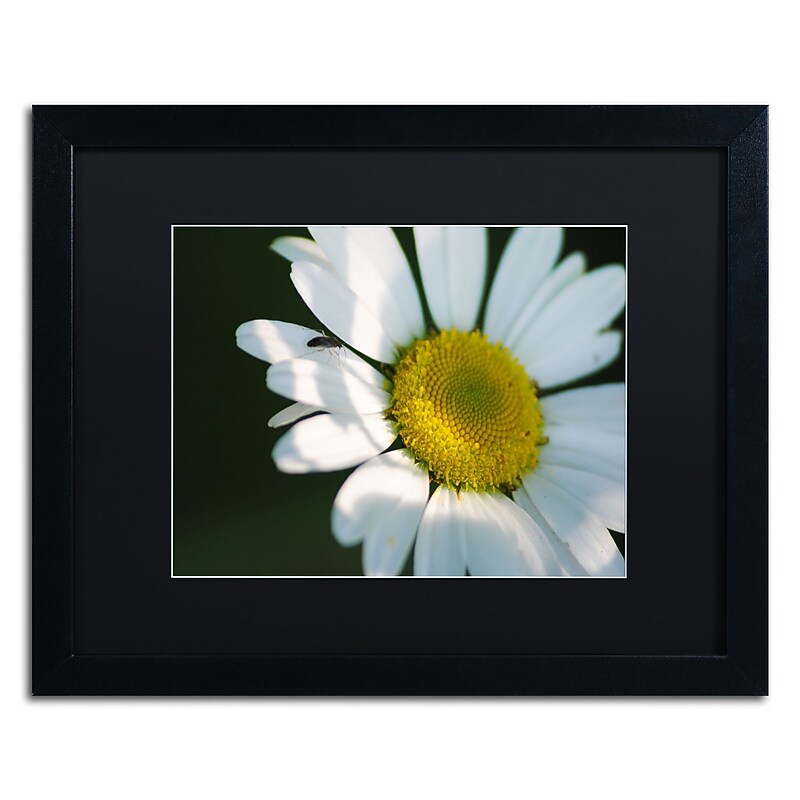 Trademark Fine Art Monica Mize 'Hidden in Shadows' 16 x 20 (MF148-B1620BMF) image 1