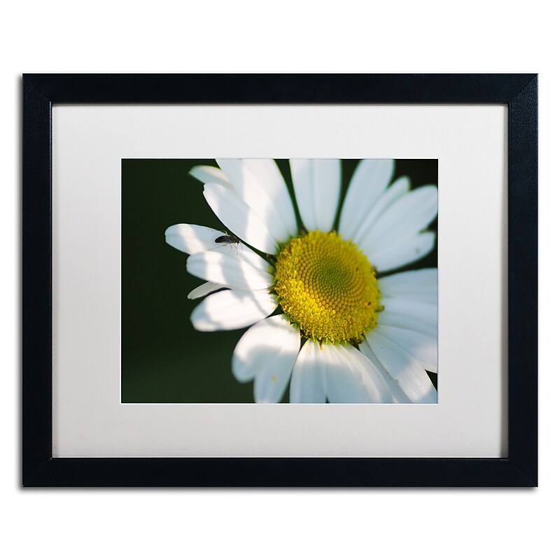 Trademark Fine Art Monica Mize 'Hidden in Shadows' 16 x 20 (MF148-B1620MF) image 1