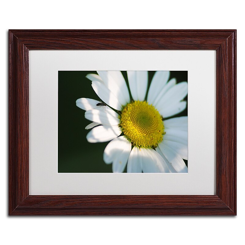 Trademark Fine Art Monica Mize 'Hidden in Shadows' 11 x 14 (MF148-W1114MF) image 1