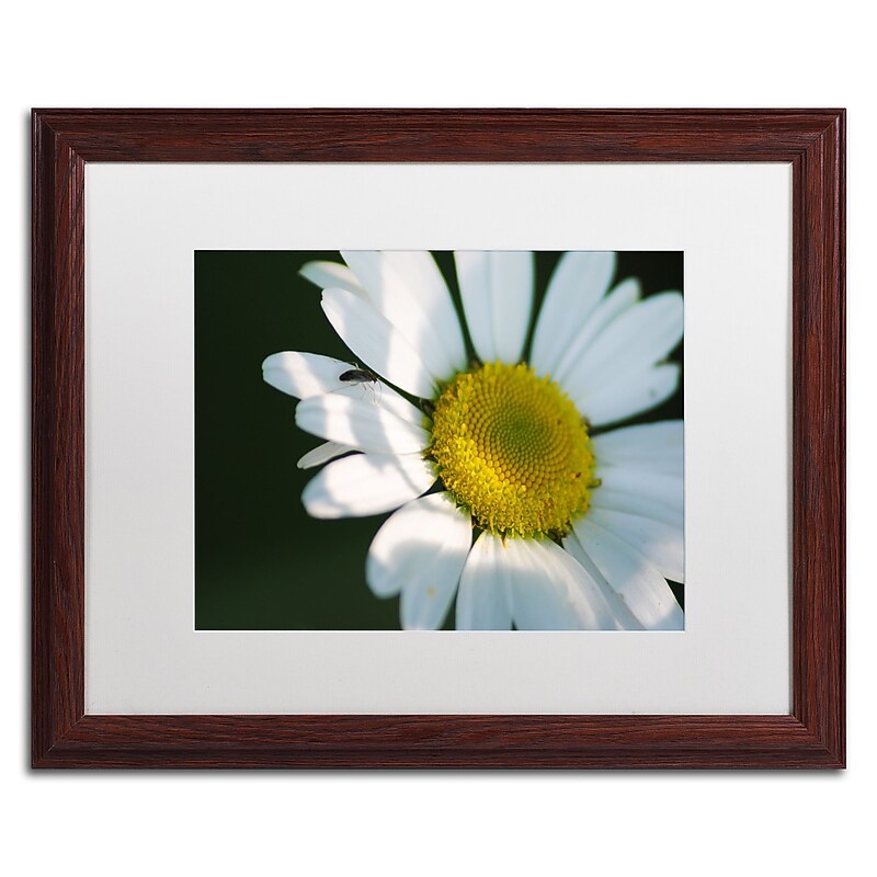 Trademark Fine Art Monica Mize 'Hidden in Shadows' 16 x 20 (MF148-W1620MF) image 1