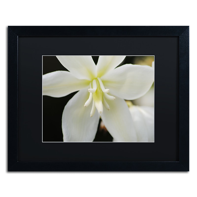 Trademark Fine Art Monica Mize 'Hope' 16 x 20 (MF149-B1620BMF) image 1