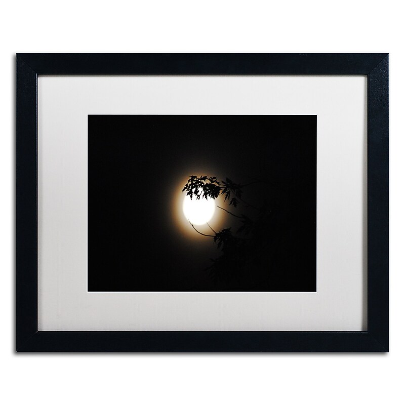 Trademark Fine Art Monica Mize 'Howl' 16 x 20 (MF150-B1620MF) image 1