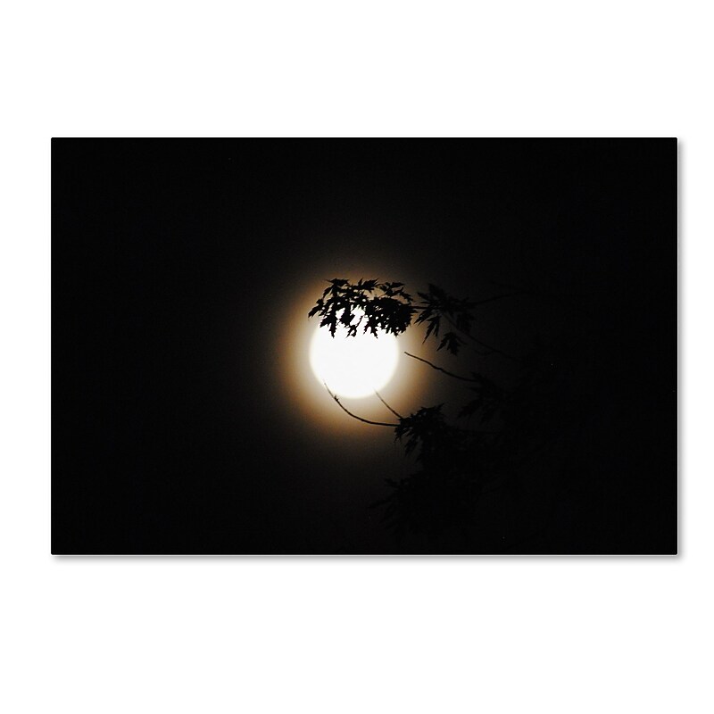 Trademark Fine Art Monica Mize 'Howl' 30 x 47 (MF150-C3047GG) image 1