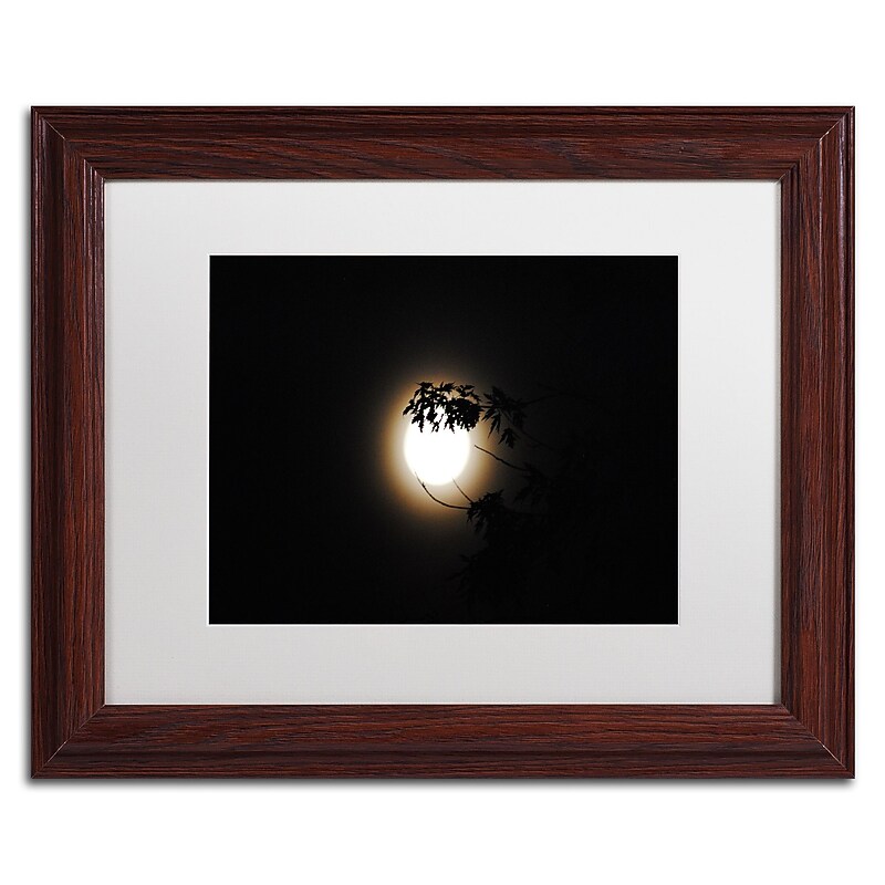 Trademark Fine Art Monica Mize 'Howl' 11 x 14 (MF150-W1114MF) image 1