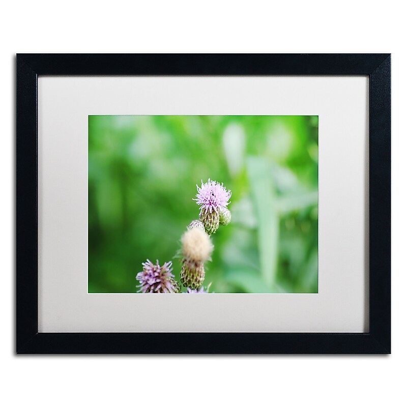 Trademark Fine Art Monica Mize 'If Only' 16 x 20 (MF151-B1620MF) image 1