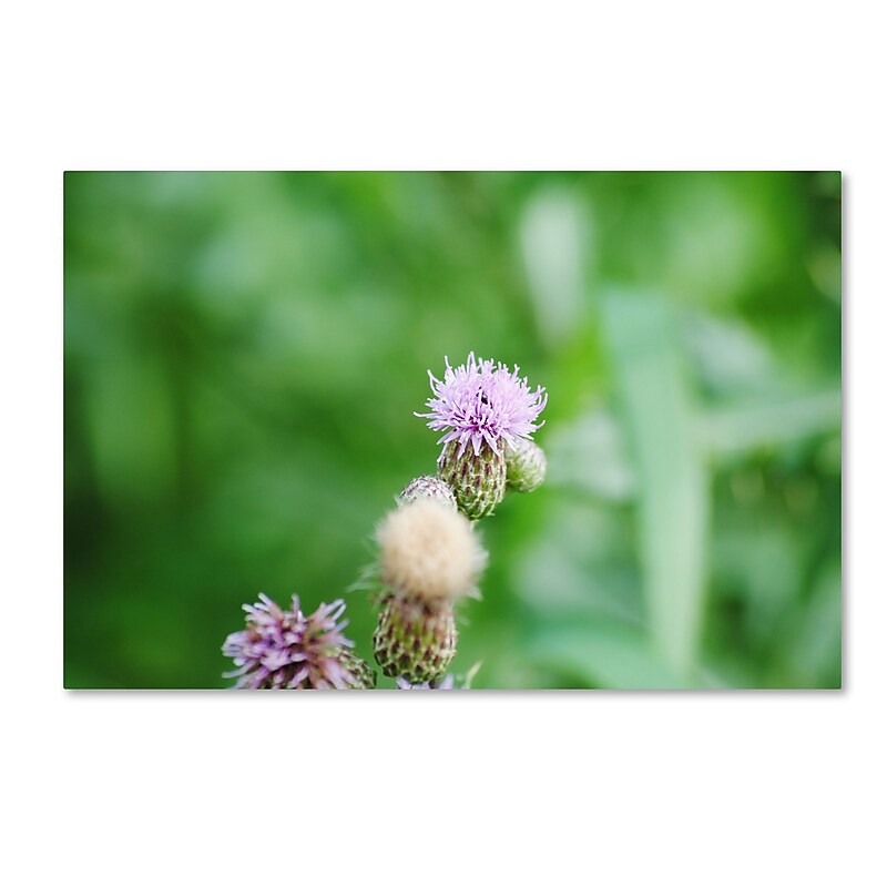 Trademark Fine Art Monica Mize 'If Only' 22 x 32 (MF151-C2232GG) image 1