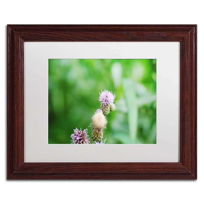 Trademark Fine Art Monica Mize 'If Only' 11 x 14 (MF151-W1114MF) image 1