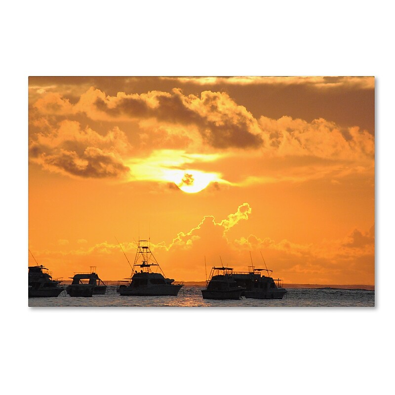 Trademark Fine Art Monica Mize 'Kipona Aloha' 12 x 19 (MF152-C1219GG) image 1